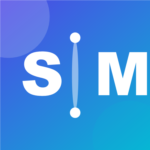 Software Market